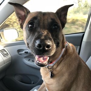 Meet your Posher, Luis